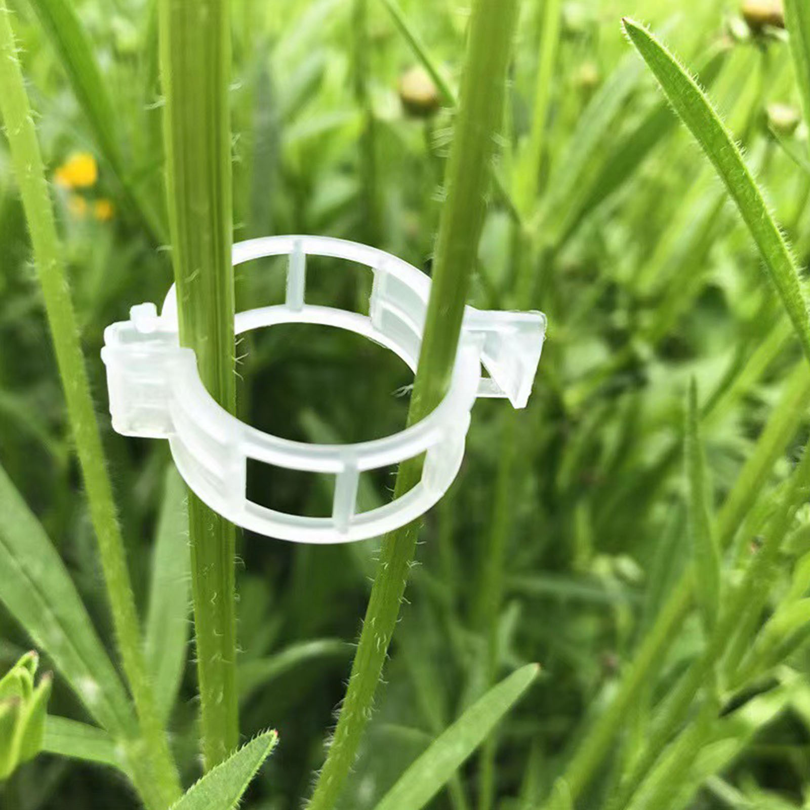 Vine Climbing Plastic - คลิปหนีบพลาสติกสำหรับยึดต้นไม้ในสวน ใช้ซ้ำได้ ใช้งานง่าย สำหรับพืชเลื้อย องุ่น ผัก