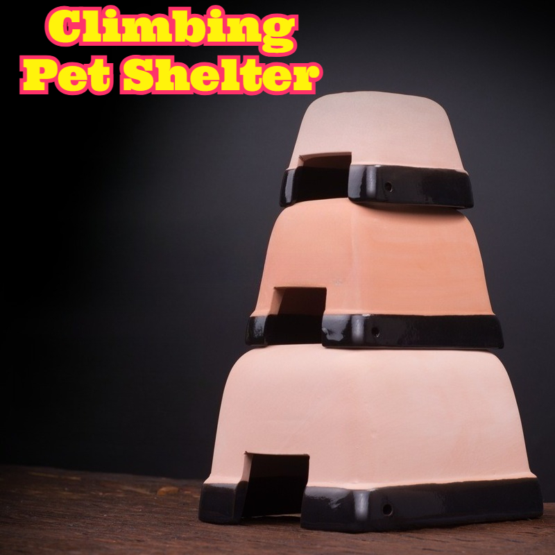 ถ้ำเซรามิกเพิ่มความชื้นสำหรับส - Hide Cave Ceramic บทวิจารณ์และราคา