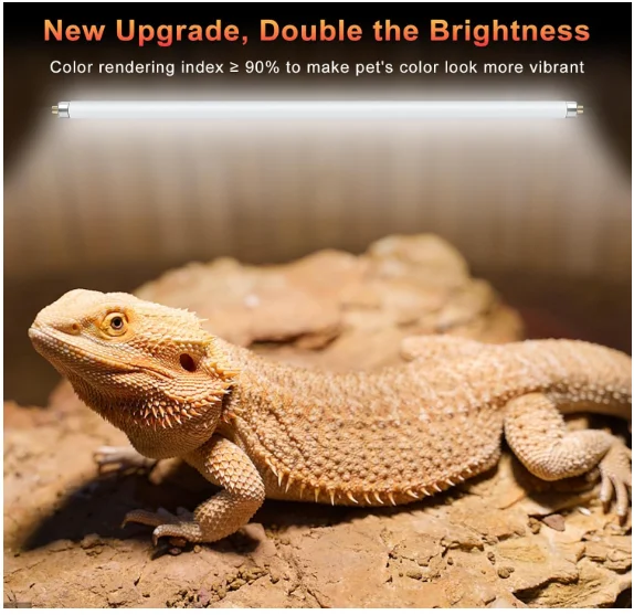 หลอดไฟฟลูออเรสเซนต์สำหรับสัตว์ - Vitamin D3 Reptile บทวิจารณ์และราคา