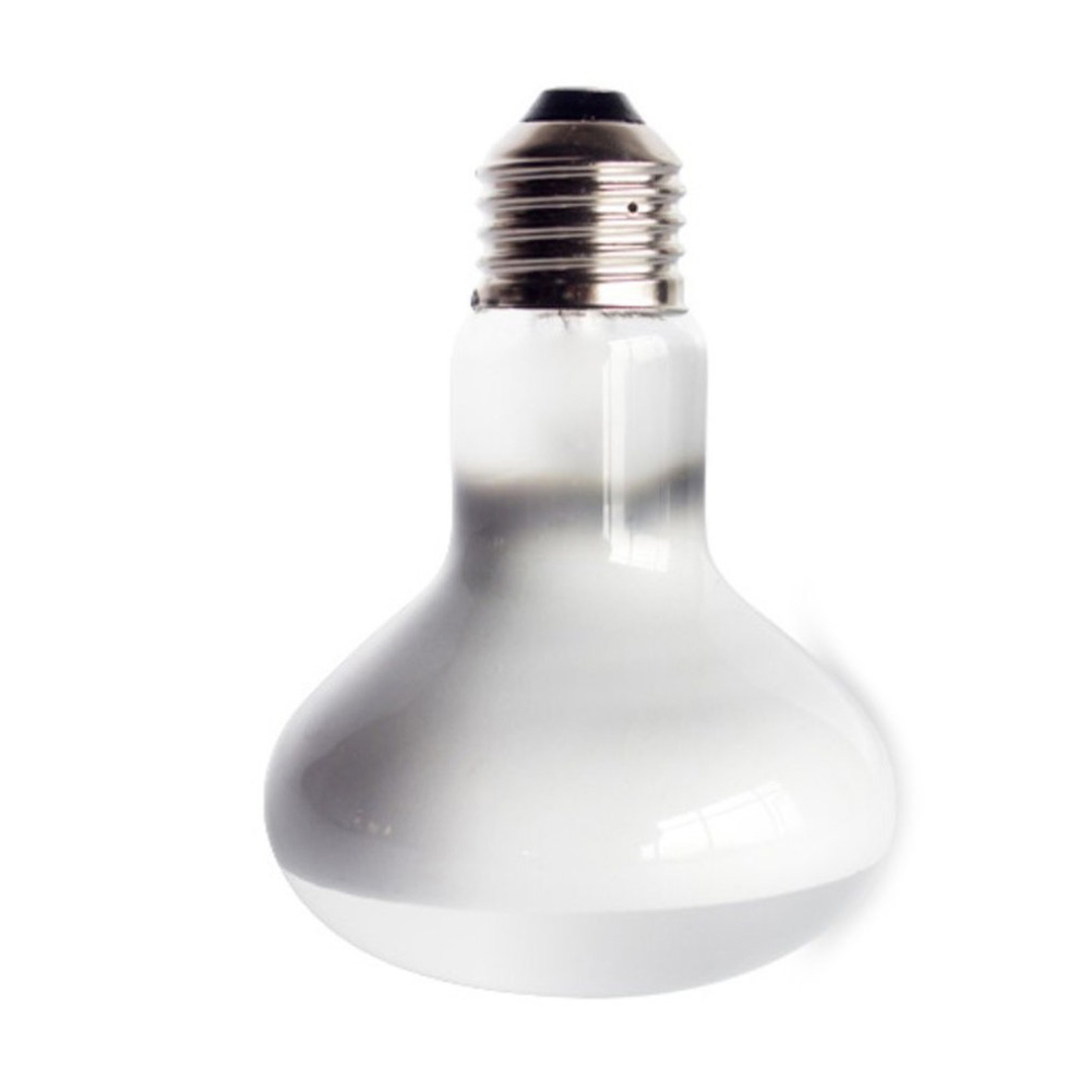 หลอดไฟฮาโลเจนให้ความร้อนสำหรับ - Basking Bulb Halogen บทวิจารณ์และราคา