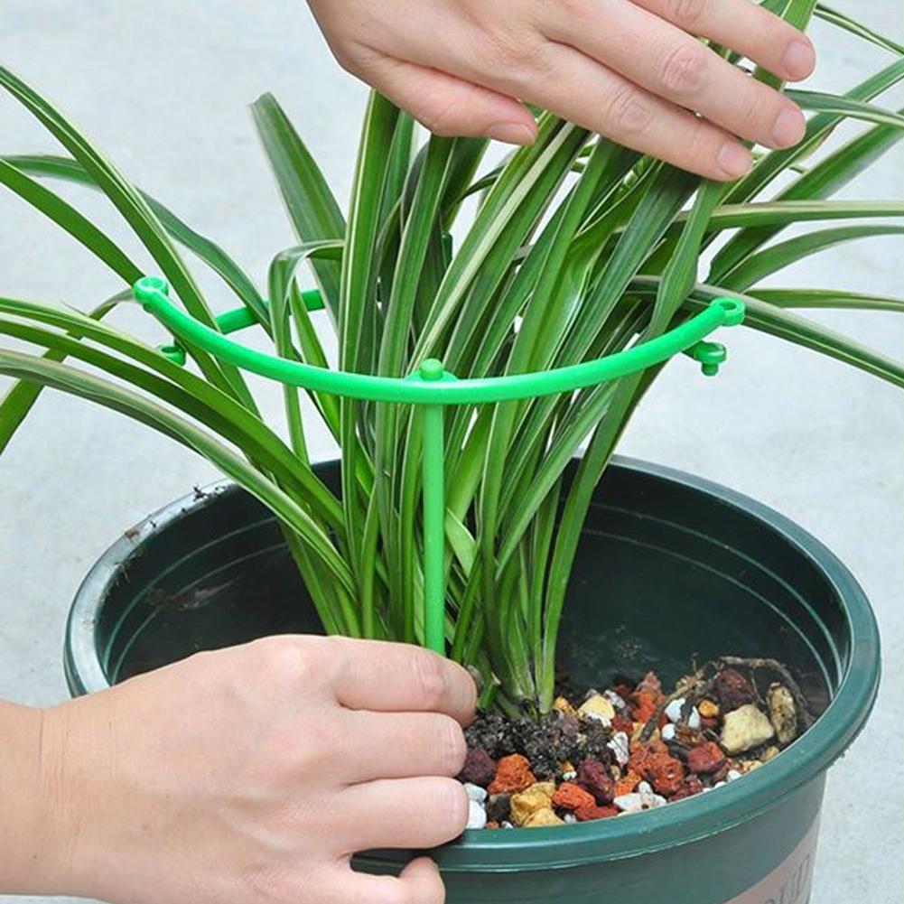 วงแหวนรองรับต้นไม้เลื้อยแบบปรั - Vine Climbing Plastic บทวิจารณ์และราคา