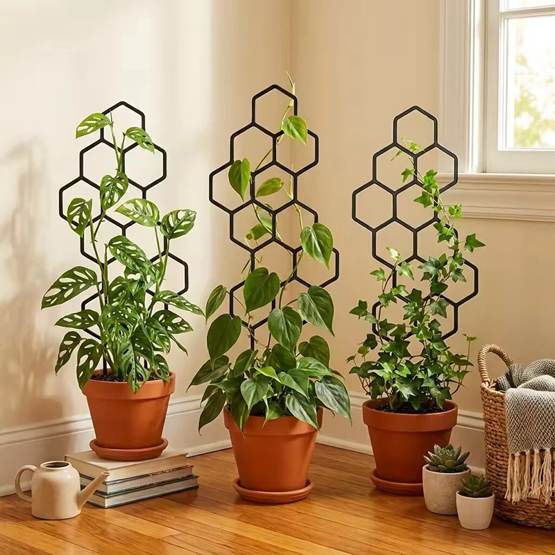 โครงตาข่ายพลาสติกแบบรังผึ้ง 2/ - Vine Climbing Plastic บทวิจารณ์และราคา
