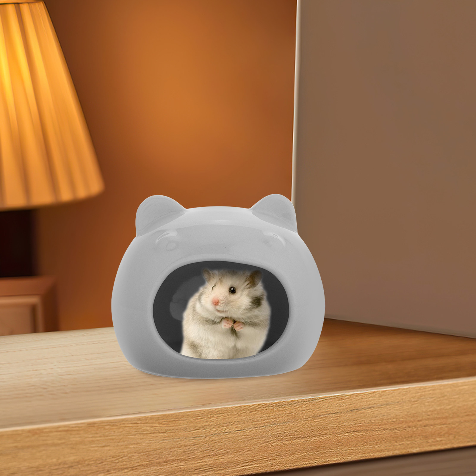 ที่ซ่อนตัวสำหรับแฮมสเตอร์เซราม - Hide Cave Ceramic บทวิจารณ์และราคา