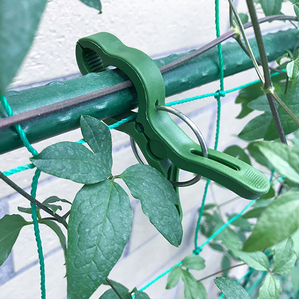 คลิปหนีบต้นไม้ในสวน 60 ชิ้น คล - Vine Climbing Plastic บทวิจารณ์และราคา