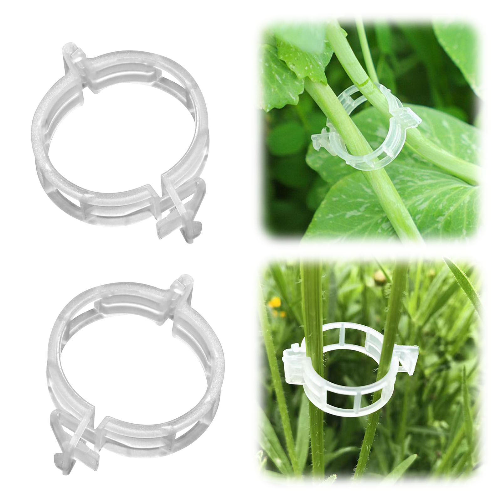 คลิปหนีบพลาสติกสำหรับยึดต้นไม้ - Vine Climbing Plastic บทวิจารณ์และราคา